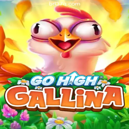 Exploring GoHighGallina: The Thrilling Experience on 37Q.COM Platform-Oficial Slots Brasil #1